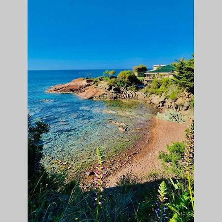 Antheor - Vue Exceptionnelle - Refait A Neuf 4 Couchages Lejlighed Saint-Raphaël Eksteriør billede