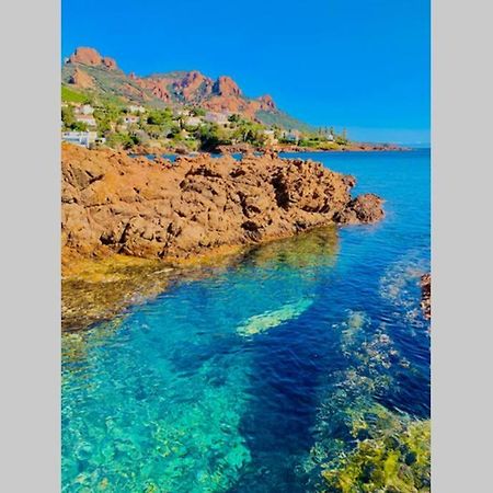 Antheor - Vue Exceptionnelle - Refait A Neuf 4 Couchages Lejlighed Saint-Raphaël Eksteriør billede
