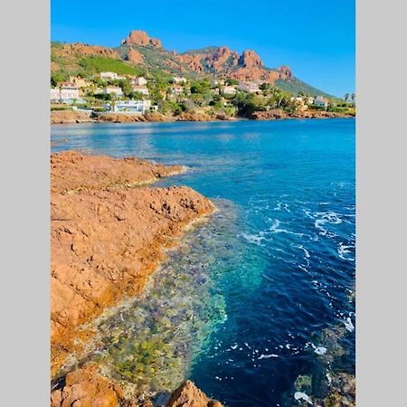 Antheor - Vue Exceptionnelle - Refait A Neuf 4 Couchages Lejlighed Saint-Raphaël Eksteriør billede