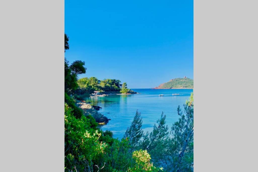 Antheor - Vue Exceptionnelle - Refait A Neuf 4 Couchages Lejlighed Saint-Raphaël Eksteriør billede