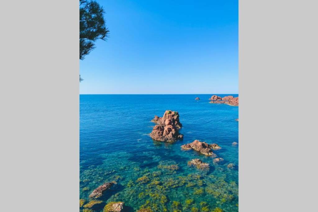 Antheor - Vue Exceptionnelle - Refait A Neuf 4 Couchages Lejlighed Saint-Raphaël Eksteriør billede
